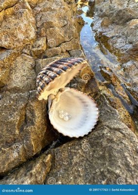  Elmus! Descubra o Bivalve que Esconde um Tesouro de Pérolas e Mistérios nas Profundezas do Oceano